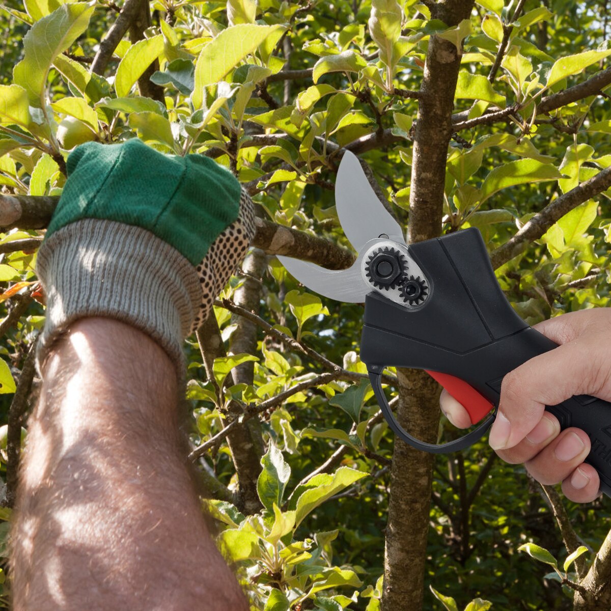 EcoSnip - Cordless Electric Pruning Shears