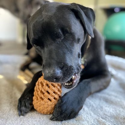 Pineapple Treat Dispensing Dog Toy for Aggressive Chewer